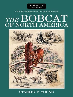 cover image of The Bobcat of North America